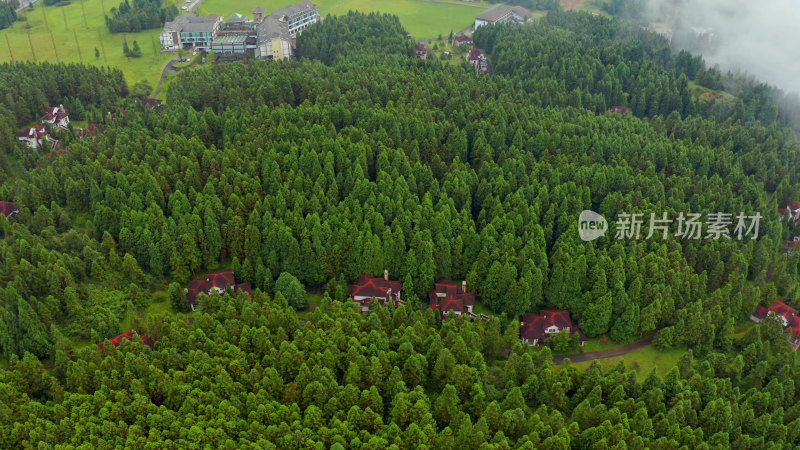 重庆武隆仙女山森林公园