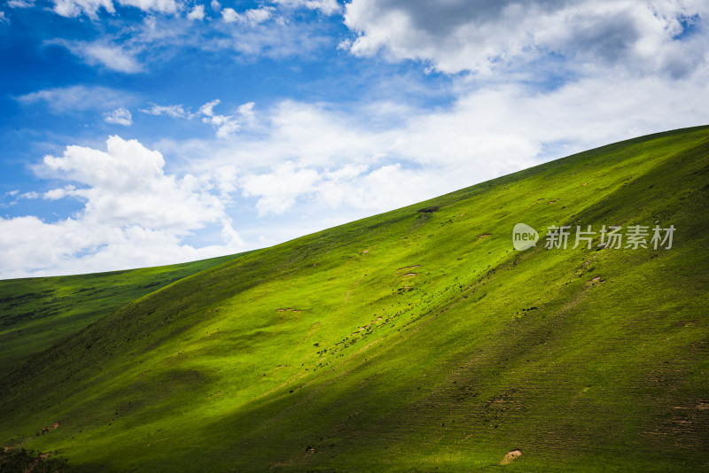 青翠山峦下的广阔草原