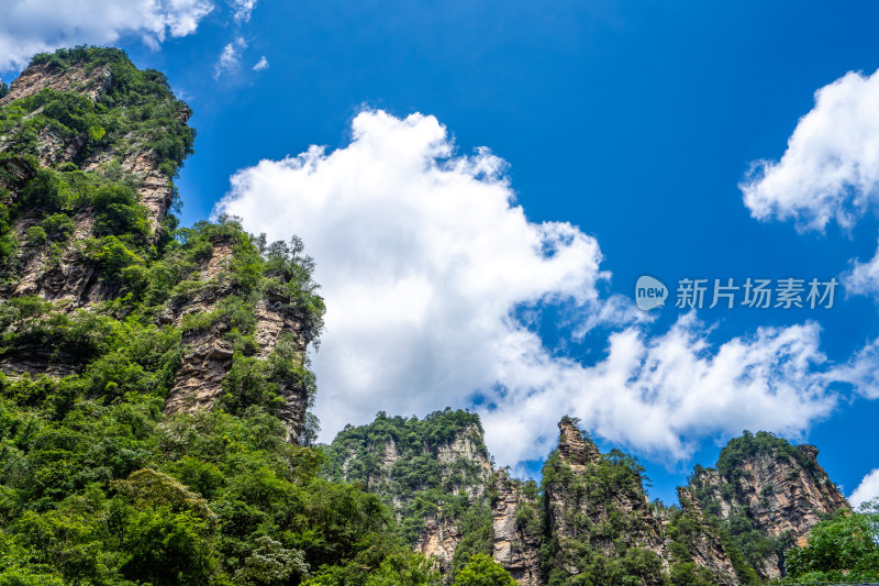 中国湖南张家界景区奇特山峰与茂密森林