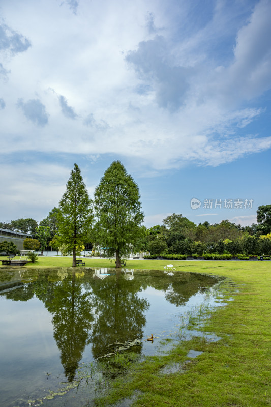 成都城市风景