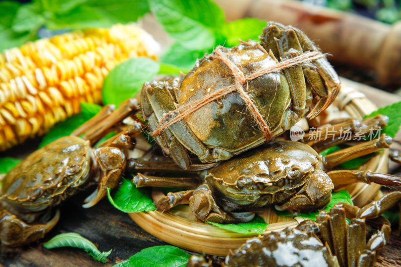 阳澄湖大闸蟹鲜美食材清蒸螃蟹