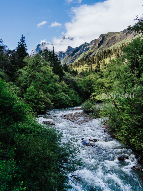 阿坝州四姑娘山长坪沟