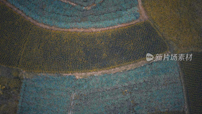 航拍泉州洛江区马甲镇