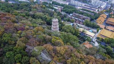 武汉武昌区宝通禅寺洪山宝塔航拍