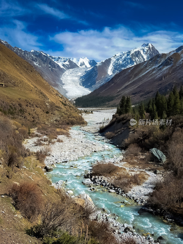 雪山下的河谷森林风景