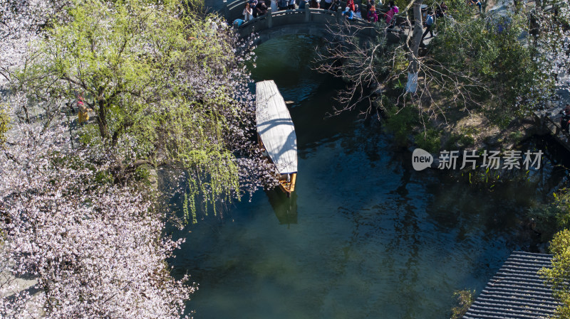 杭州西湖古风建筑与樱花树下的小船