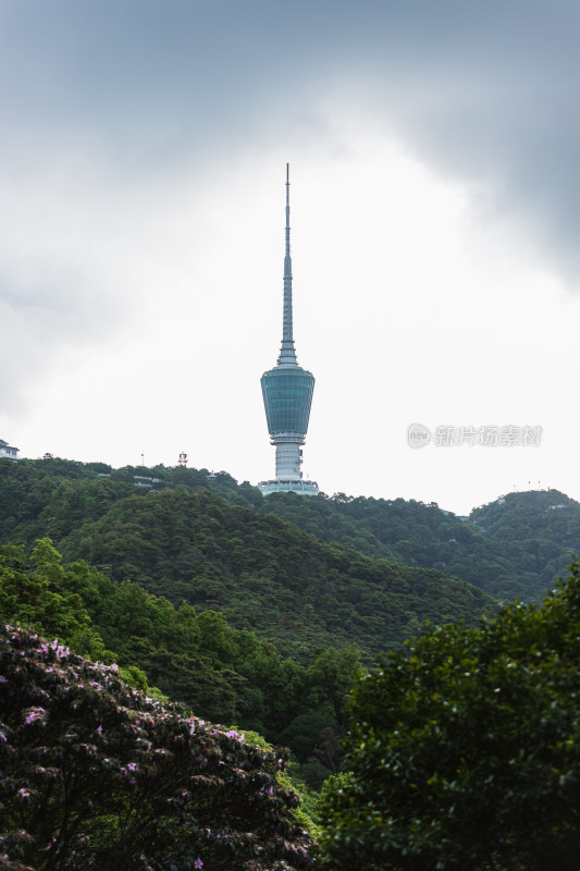 深圳梧桐山