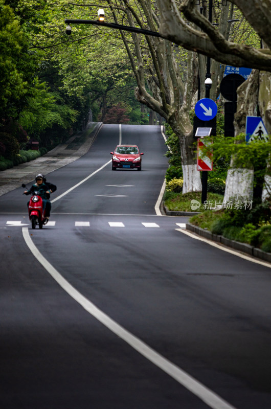 杭州西湖杨公堤道路春色景观