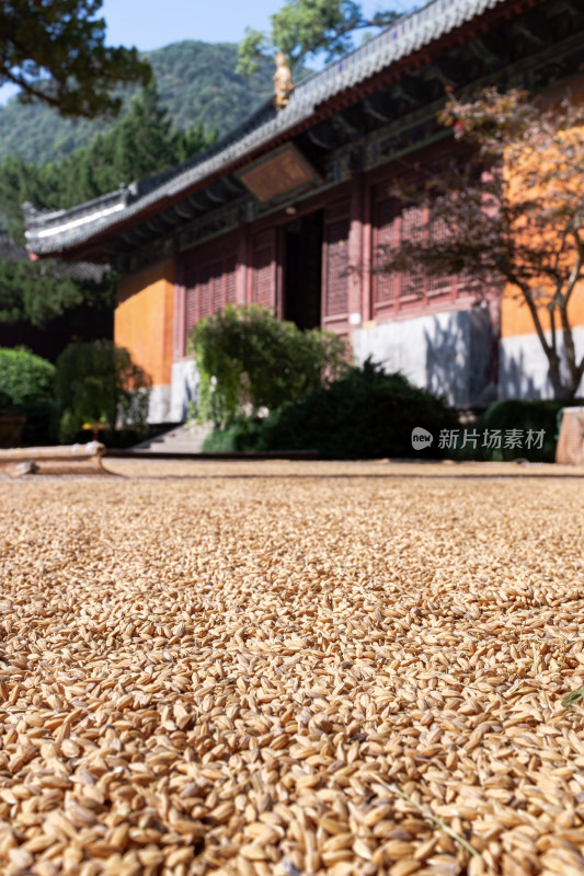 秋季的浙江台州 天台山国清寺