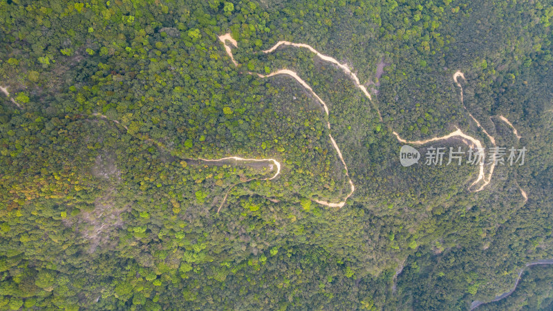 深圳户外徒步线路梧桐山蝴蝶谷（废弃公路）