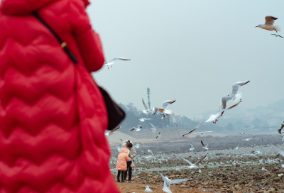 海边一对母女在海鸥间玩耍