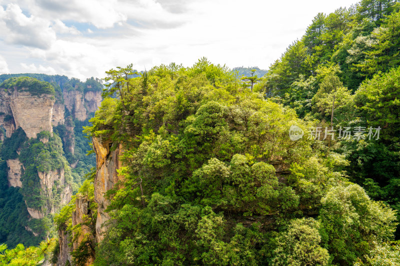 中国湖南张家界景区奇特山峰与茂密森林