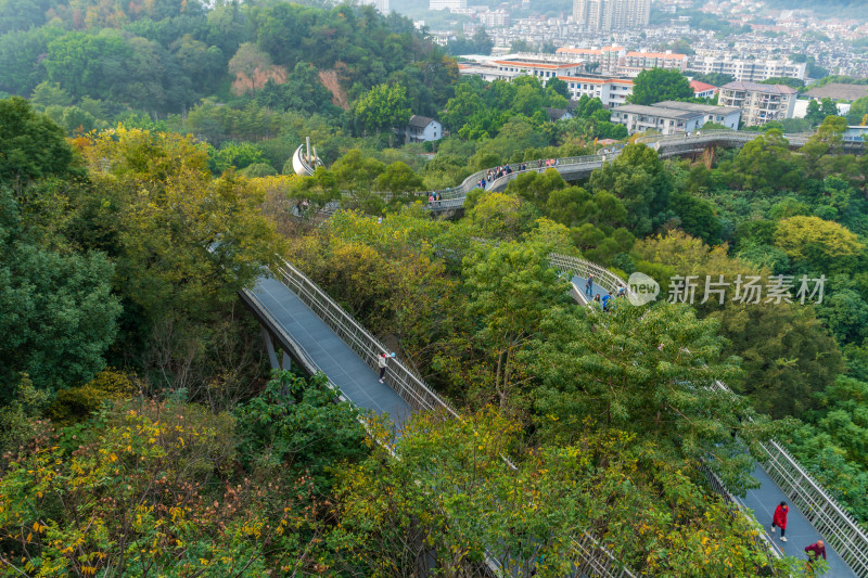 福州福道山林中蜿蜒的观景步道