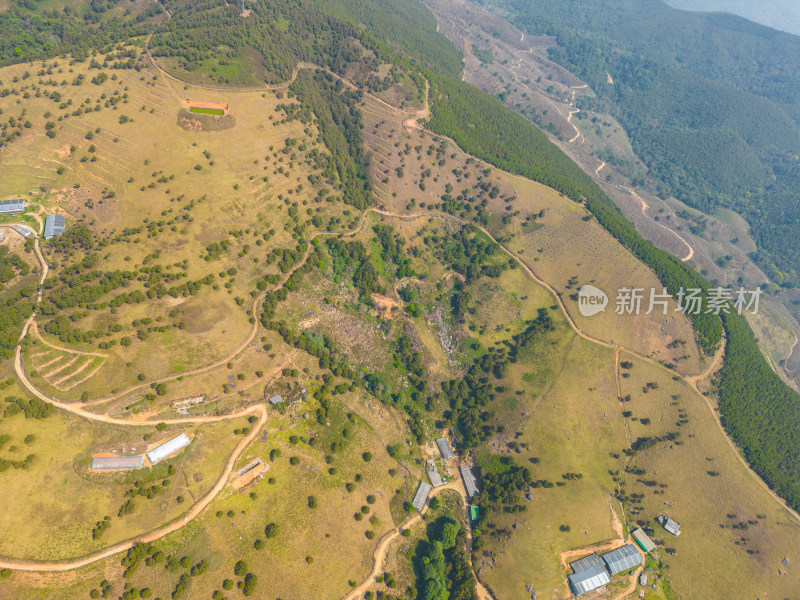 航拍山顶牧场田园风光