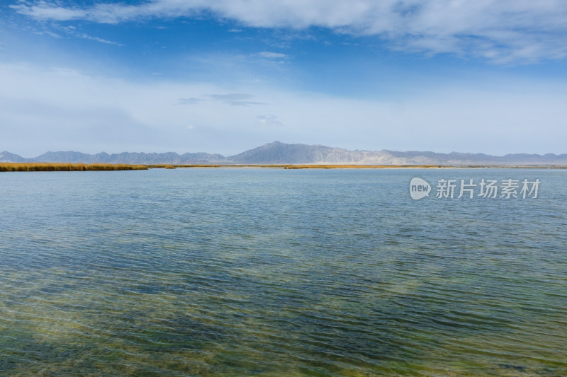 青海大柴旦翡翠湖湿地风光