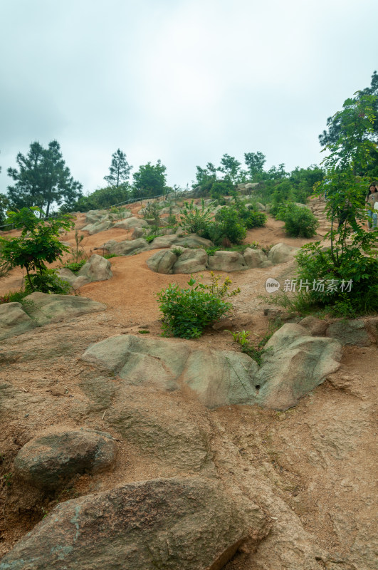 山中的自然风景