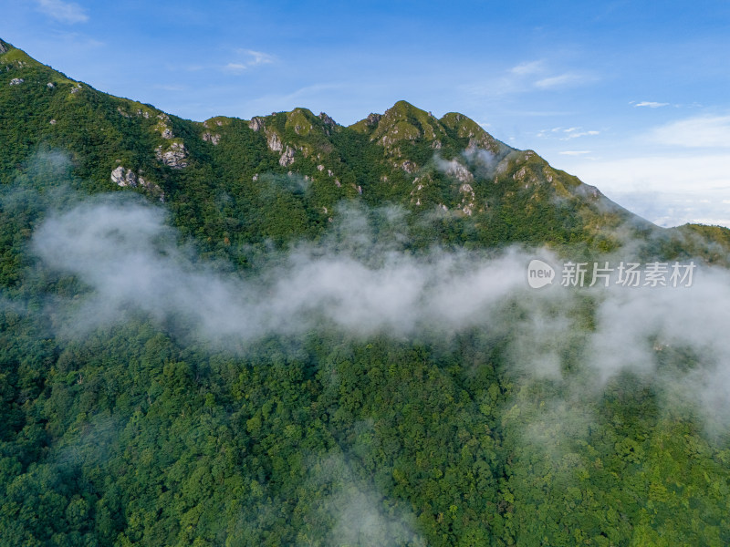 森林大山原生态云海航拍