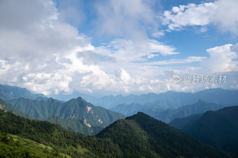 高山森林蓝天白云自然