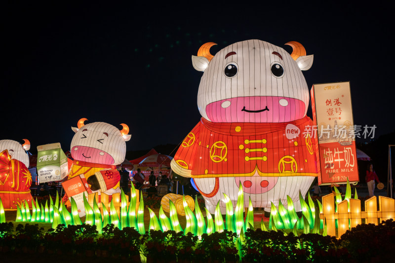 夜晚牛造型花灯展示