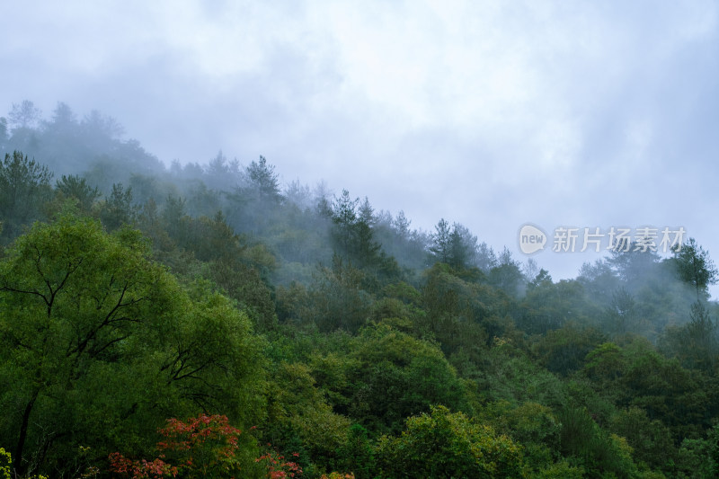 汉中留坝火烧店镇秦岭深处雨后山间的云雾