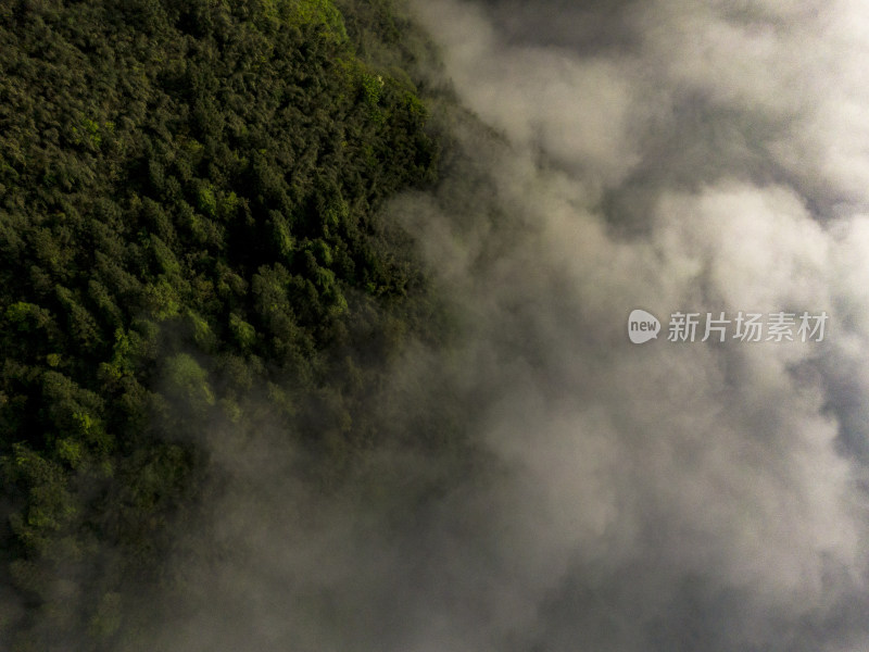 高山云海