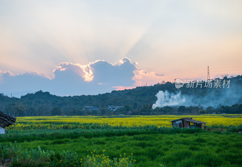 云南省腾冲市油菜花村庄田园风光