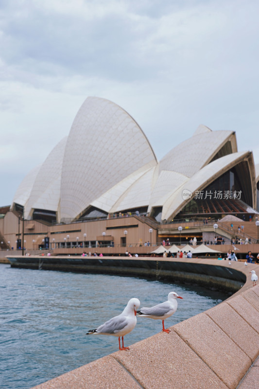 澳大利亚悉尼歌剧院，Sydney Opera House