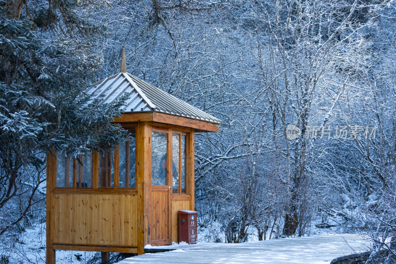 雪林中小木屋，静谧冬日自然景观