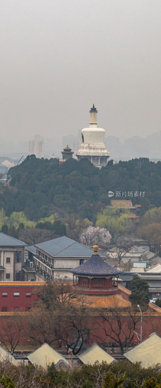 北京景山公园看白塔