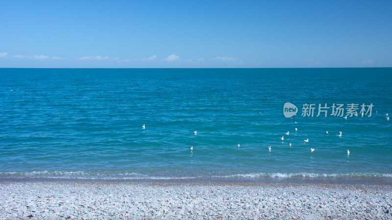 中国西部青海青海湖秋季自然风光