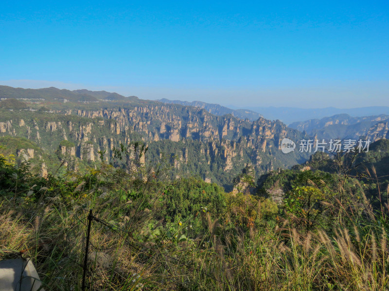 中国湖南张家界国家森林公园旅游风光