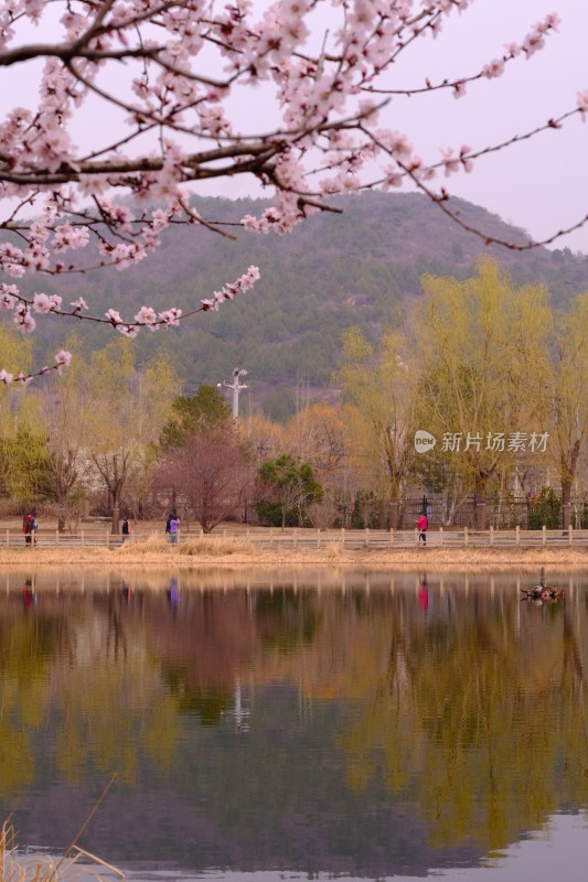 风景系列