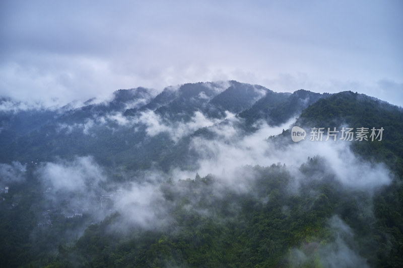 峨眉山的原始森林