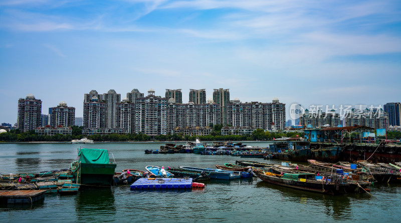 深圳蛇口渔港风光