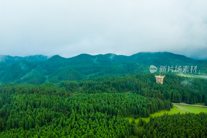 重庆武隆仙女山森林公园