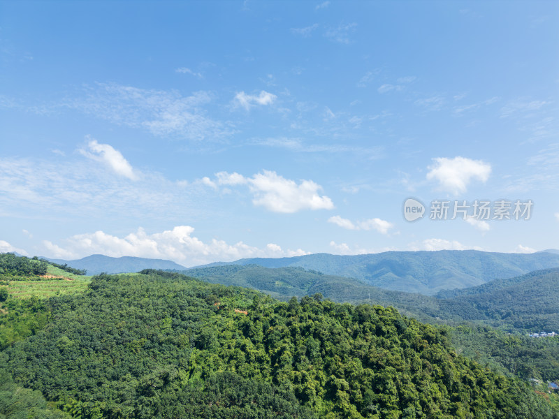 航拍层峦叠嶂的热带雨林