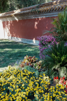 北京地坛公园秋季花展风景