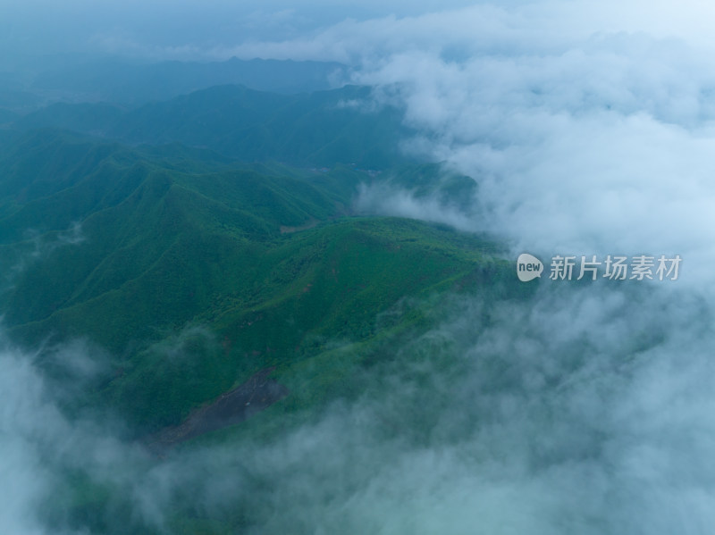 森林云海风光