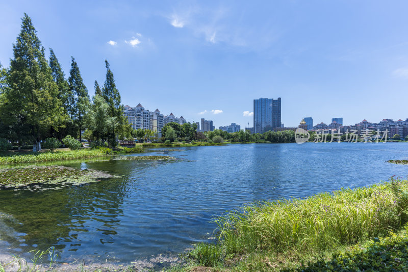 武汉武昌区内沙湖公园风景