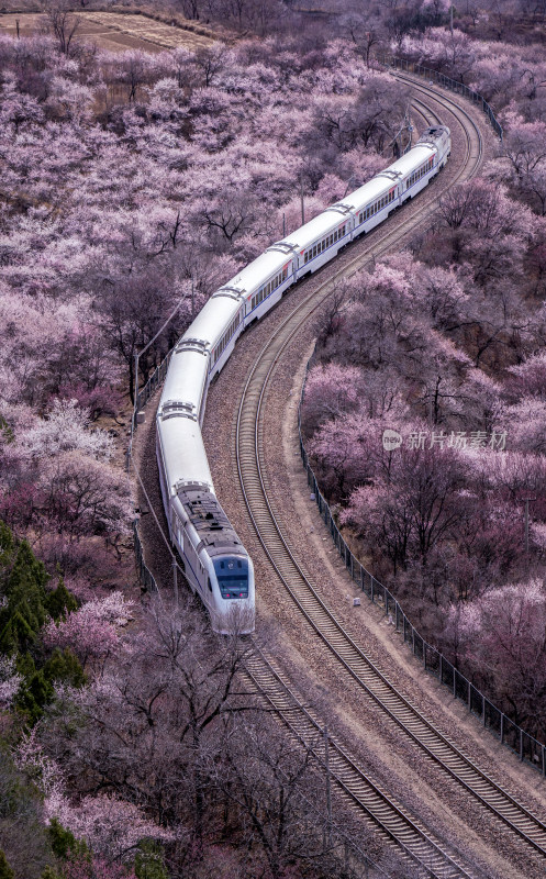 北京居庸关通往春天的列车