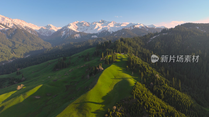 航拍草原雪山森林自然风光