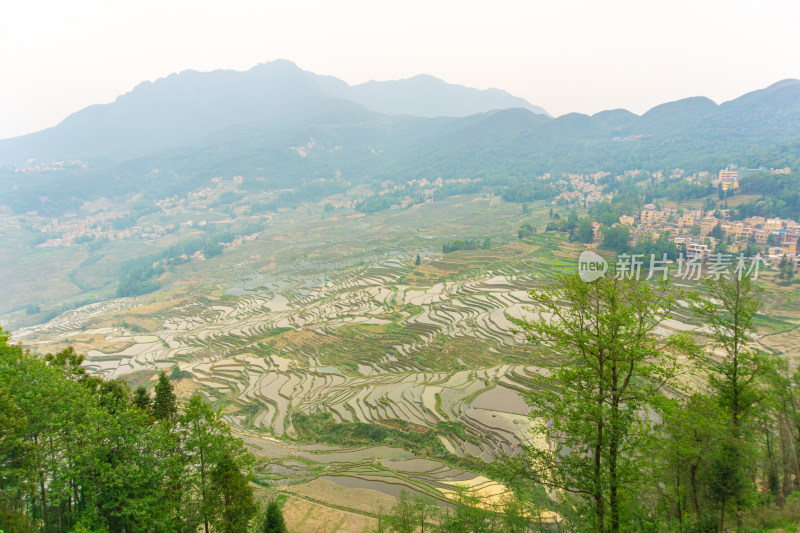 层层叠叠的元阳梯田景观