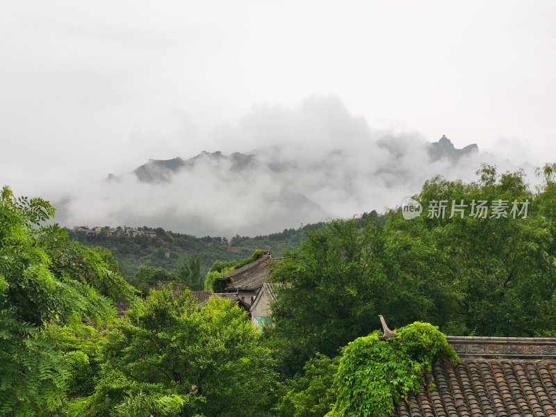 雨后大雾