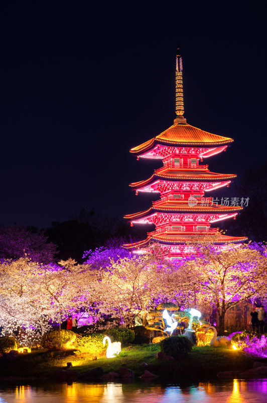 武汉东湖樱园夜景