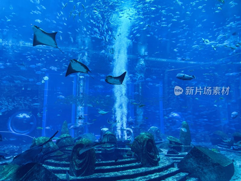 三亚亚特兰蒂斯酒店的水族馆