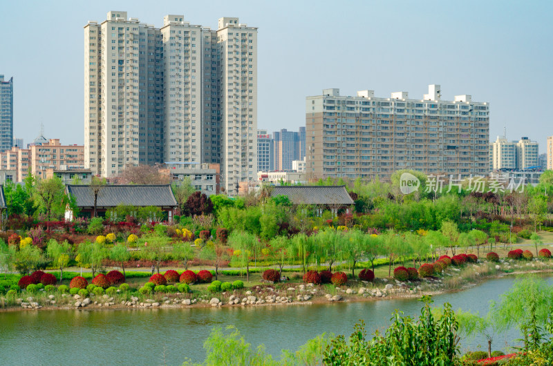 春天的渭南南湖公园湖上风景