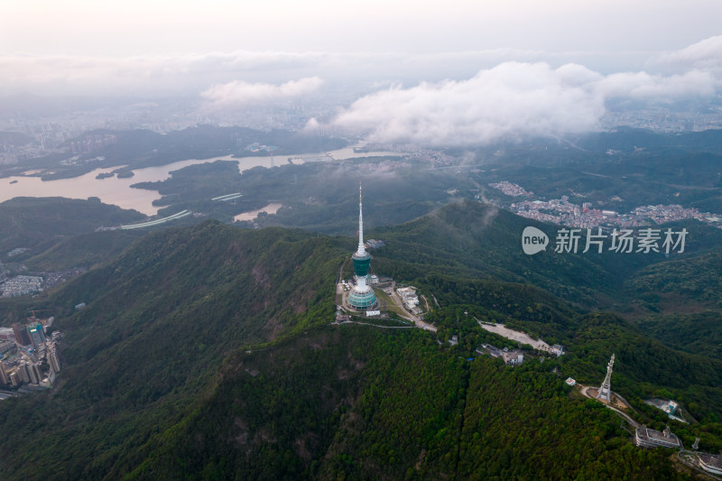 深圳梧桐山