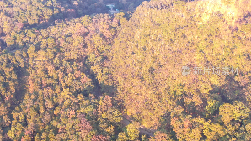 航拍贵阳黔灵山4A景区