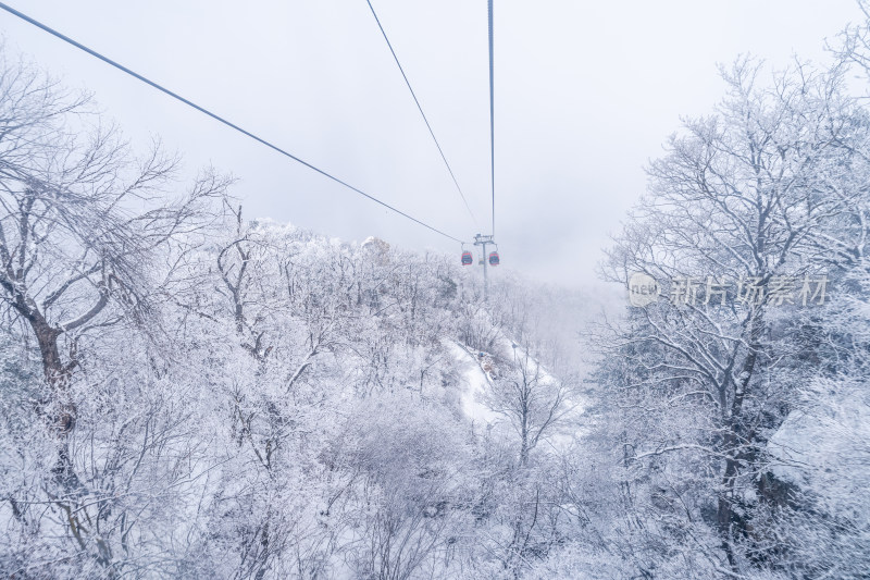 老君山下雪大山森林雾凇景观