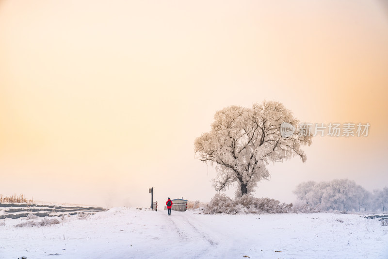 冬季雪景